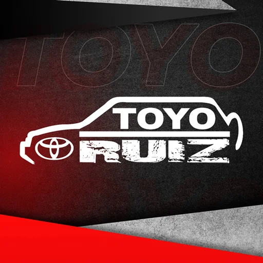 TOYORUIZ-1