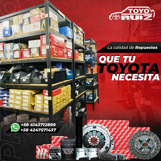 TOYORUIZ-11