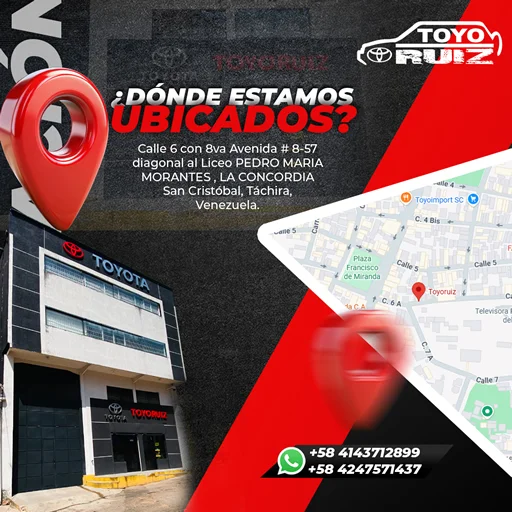 TOYORUIZ-3