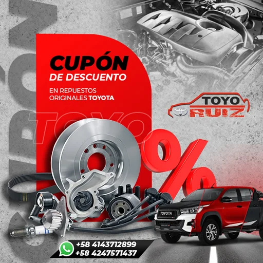 TOYORUIZ-4