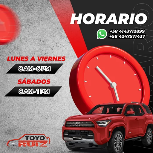 TOYORUIZ-5