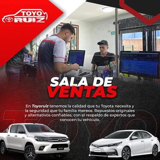 TOYORUIZ-6